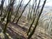 2016-02-20 Monte Cervia 0431