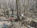 2016-03-12 Anello Monte Gennaro 0033