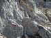 2016-03-12 Anello Monte Gennaro 0035