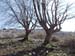2016-03-12 Anello Monte Gennaro 0037
