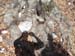 2016-03-12 Anello Monte Gennaro 0066
