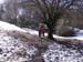 2016-03-12 Anello Monte Gennaro 0122