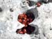 2016-03-20 Anello Rocca Calascio 0519