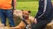 2016-04-16 Parco della Caffarella 0447