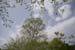 2016-04-16 Parco della Caffarella 0630