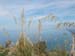 2016-04-30Monte Circeo da Torre Paola 0170
