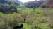 2016-05-07 Monte Cava 0026