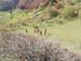 2016-05-07 Monte Cava 0027