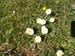 2016-05-07 Monte Cava 0045