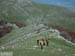 2016-05-07 Monte Cava 0051