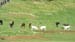 2016-06-04 Monte Lupone 00016
