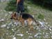 2016-06-04 Monte Lupone 00111