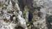 2016-06-04 Monte Lupone 00152
