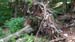 2016-06-04 Monte Lupone 00345