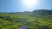 2016-07-02 Monte Rozza, Sevice, Costognillo 0070