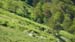 2016-07-02 Monte Rozza, Sevice, Costognillo 0098