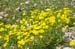 2016-07-02 Monte Rozza, Sevice, Costognillo 0120