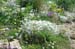 2016-07-02 Monte Rozza, Sevice, Costognillo 0128
