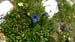 2016-07-02 Monte Rozza, Sevice, Costognillo 0257
