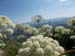 2016-07-02 Monte Rozza, Sevice, Costognillo 0517