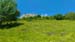 2016-07-02 Monte Rozza, Sevice, Costognillo 0524