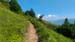 2016-07-02 Monte Rozza, Sevice, Costognillo 0525