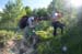 2016-07-02 Monte Rozza, Sevice, Costognillo 0562