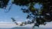 2016-07-17 Monte Gennaro 0113
