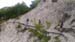 2016-07-23 Monte Cotento da Filettino 00044