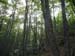 2016-07-23 Monte Cotento da Filettino 00049