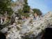2016-07-23 Monte Cotento da Filettino 00058