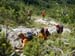 2016-07-23 Monte Cotento da Filettino 00084