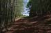 2016-07-23 Monte Cotento da Filettino 00126