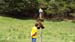 2016-07-23 Monte Cotento da Filettino 00162
