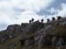 2016-07-23 Monte Cotento da Filettino 00256