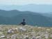 2016-07-23 Monte Cotento da Filettino 00417