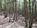 2016-07-23 Monte Cotento da Filettino 00479