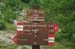 2016-07-23 Monte Cotento da Filettino 00509