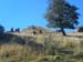 2016-08-13 Monte Viglio 0098
