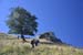 2016-08-13 Monte Viglio 0112