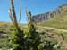 2016-08-13 Monte Viglio 0187