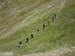 2016-08-13 Monte Viglio 0285