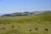 2016-08-13 Monte Viglio 0484