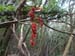 2016-09-10 Tentativo Monte Circeo 00060