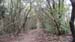 2016-09-10 Tentativo Monte Circeo 00065
