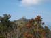 2016-09-10 Tentativo Monte Circeo 00103