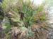 2016-09-10 Tentativo Monte Circeo 00329