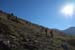 2016-09-24 Cimata dei Monti di Bagno 00088