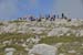 2016-09-24 Cimata dei Monti di Bagno 00396