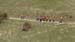 2016-10-16 Monte Savina Monte Etra 000161